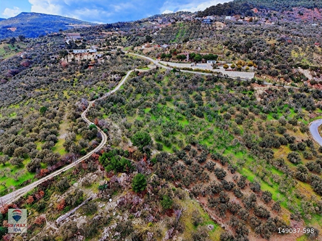 Çanakkale Ayvacık Kayalar Deniz Manzaralı Satılık Zeytinlik - Görsel 10