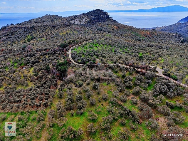 Çanakkale Ayvacık Kayalar Deniz Manzaralı Satılık Zeytinlik - Görsel 6