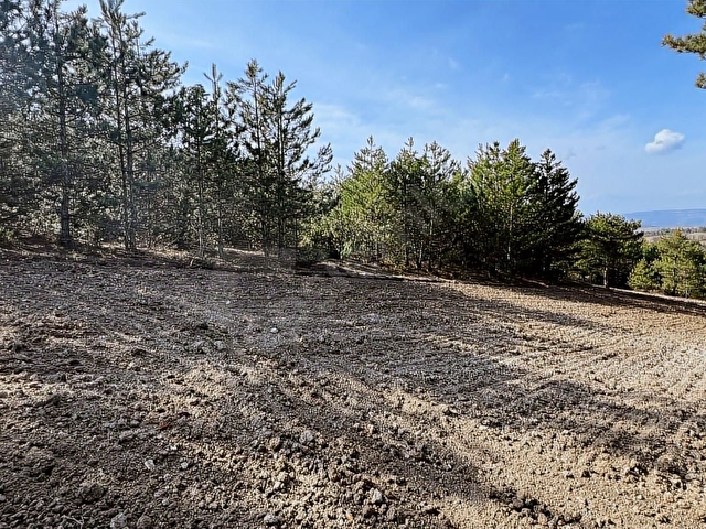 Gölpazarı Kümbet Köyü 4500 m2 Satılık Arazi - Görsel 2