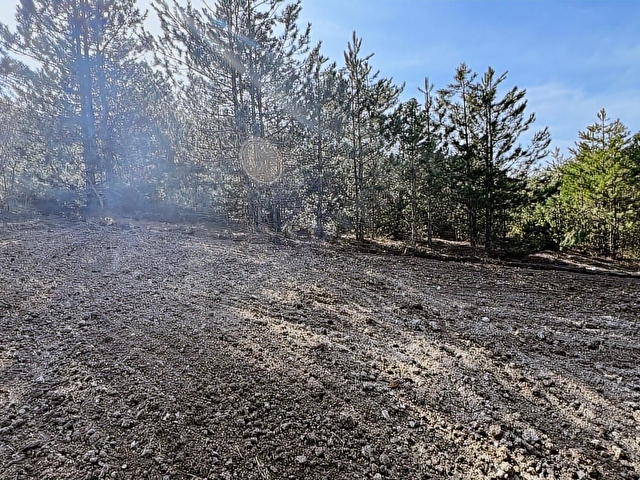 Gölpazarı Kümbet Köyü 4500 m2 Satılık Arazi - Görsel 3