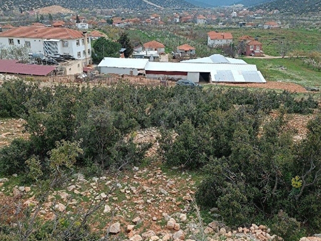 Korkuteli Tatköyde Yatırımlık & Keyiflik 450 m² Arsa - Görsel 3