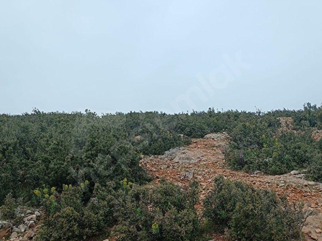 Korkuteli Tatköyde Yatırımlık & Keyiflik 450 m² Arsa - Görsel 11