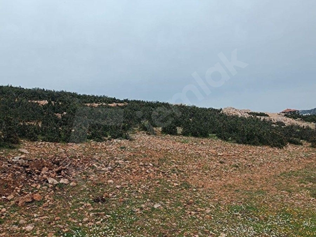 Korkuteli Tatköyde Yatırımlık & Keyiflik 450 m² Arsa - Görsel 15