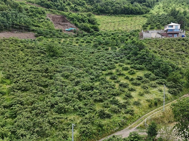 AKÇAABAT MERSİN MAH. EŞSİZ DENİZ MANZARASI,EĞİMSİZ YOLA CEPHE - Görsel 10