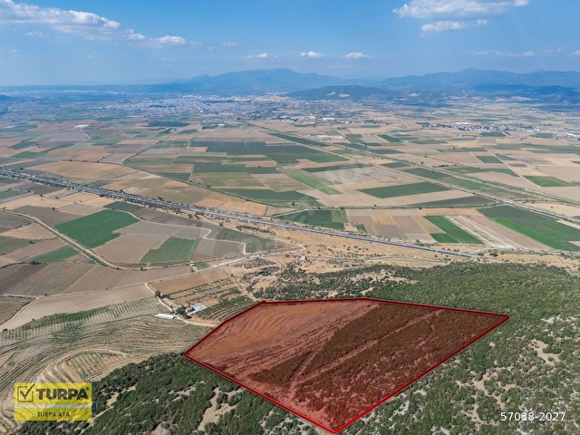 İzmir Torbalı Ahmetli Mahallesinde Satılık 117 Dönüm Arazi - Görsel 21