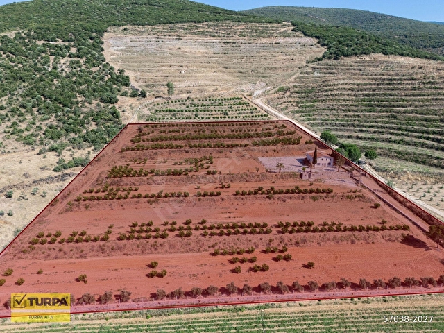 İzmir Torbalı Ahmetli Mahallesinde Satılık 117 Dönüm Arazi - Görsel 20