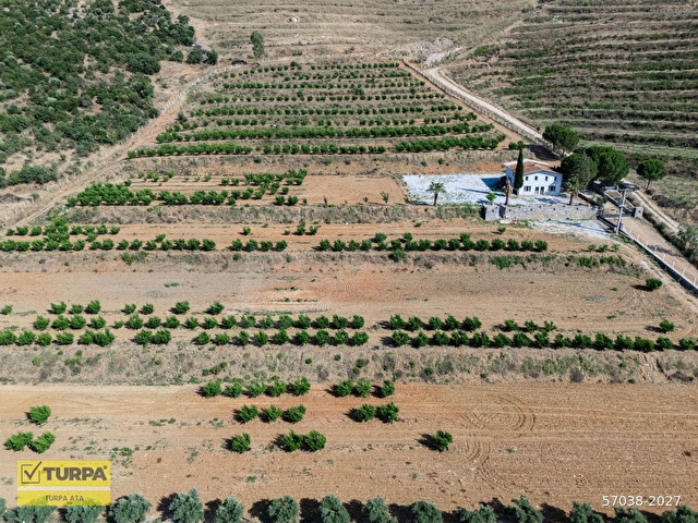 İzmir Torbalı Ahmetli Mahallesinde Satılık 117 Dönüm Arazi - Görsel 19