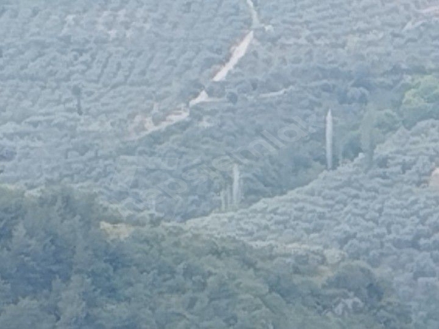 İZNİK TACİR KÖYÜNDE BÜYÜK ARAZİM OLSUN DİYENLERE SÜPER FIRSAT KUPON ARAZİ - Görsel 5