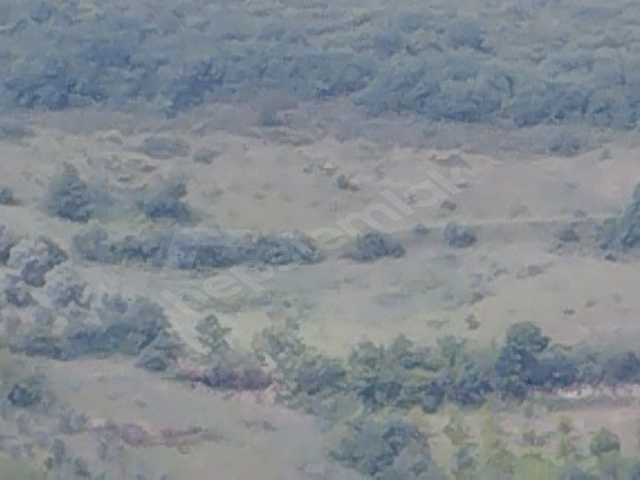 İZNİK TACİR KÖYÜNDE BÜYÜK ARAZİM OLSUN DİYENLERE SÜPER FIRSAT KUPON ARAZİ - Görsel 17