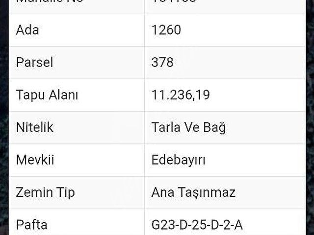 İZNİK TACİR KÖYÜNDE BÜYÜK ARAZİM OLSUN DİYENLERE SÜPER FIRSAT KUPON ARAZİ - Görsel 26