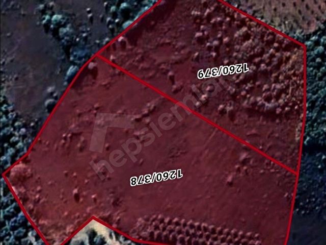 İZNİK TACİR KÖYÜNDE BÜYÜK ARAZİM OLSUN DİYENLERE SÜPER FIRSAT KUPON ARAZİ - Görsel 27