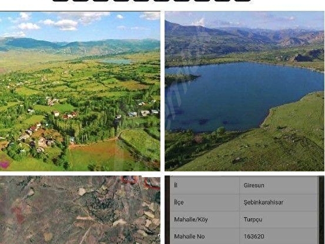 SATILIK 12.932m2 ŞEBİNKARAHİSAR TURPÇU KÖYÜNDE ARSAMIZ 2.600BİN TLYE SATILIKTIR Mülk EMLAK Mustafa - Görsel 12