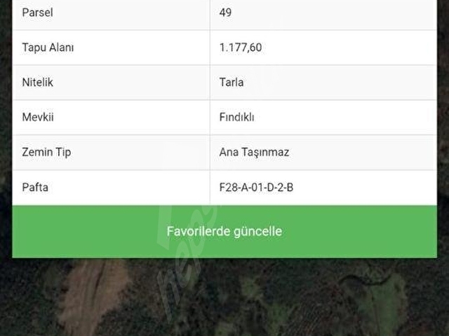 ÇAYCUMA ÇAYIR KÖYÜNDE SATILIK ARSA - Görsel 2