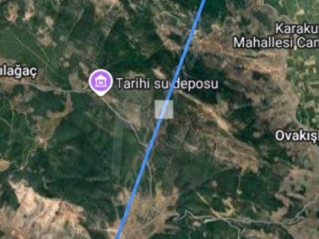 TURPA GİRNE TEMSİLCİLİĞİNDEN MUĞLA MİLASDA SATILIK TARLA - Görsel 6