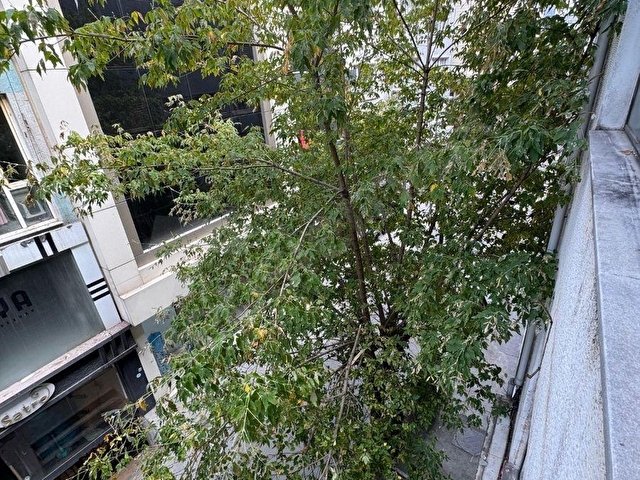 ERKUTUNDAN, NİŞANTAŞINDA YANGIN MERDİVENLİ, BOYDAN BOYA TEK BÖLÜM KİRALIK İŞYERİ. - Görsel 6