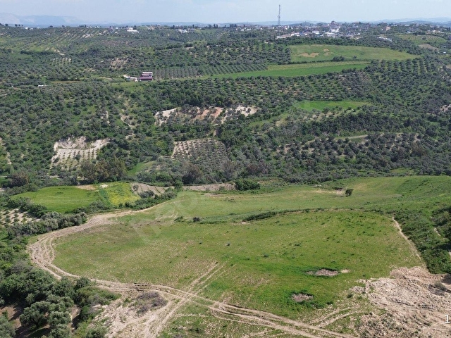 Açıkdere Mahallesinde 34.891 m² Uygun Fiyatlı Yatırımlık Tarla! - Görsel 11