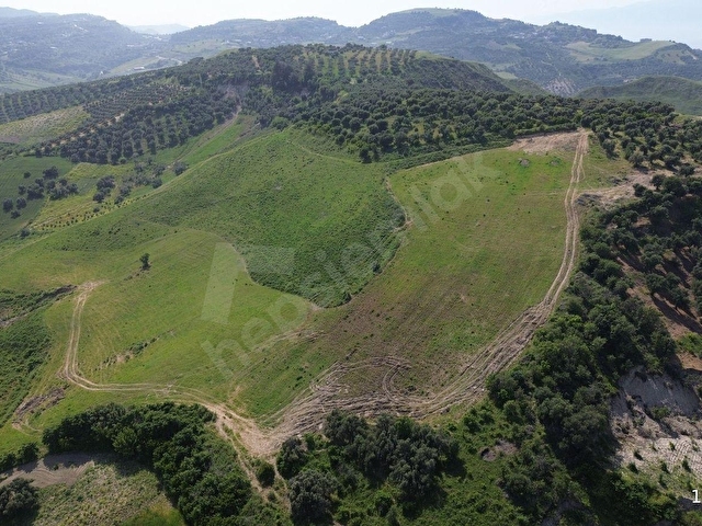 Açıkdere Mahallesinde 34.891 m² Uygun Fiyatlı Yatırımlık Tarla! - Görsel 19