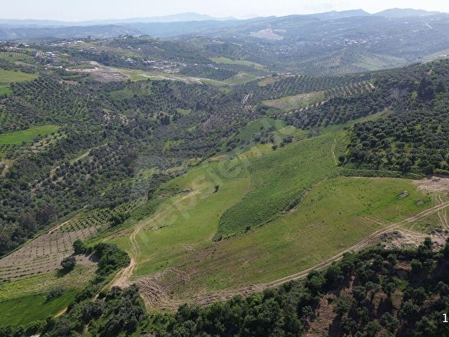 Açıkdere Mahallesinde 34.891 m² Uygun Fiyatlı Yatırımlık Tarla! - Görsel 14