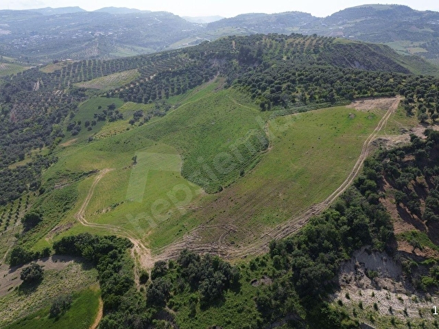 Açıkdere Mahallesinde 34.891 m² Uygun Fiyatlı Yatırımlık Tarla! - Görsel 18