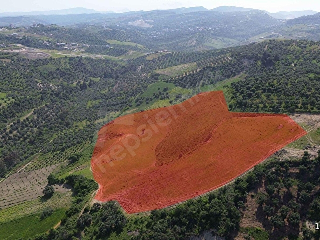 Açıkdere Mahallesinde 34.891 m² Uygun Fiyatlı Yatırımlık Tarla!