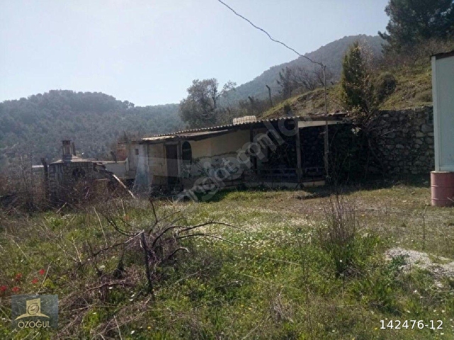 İzmir Menderes Değirmendere de ferah yaşam mahali sahibinden kiralık bahçe - Görsel 3
