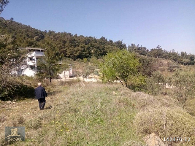 İzmir Menderes Değirmendere de ferah yaşam mahali sahibinden kiralık bahçe - Görsel 17