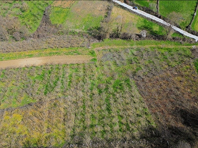 Kaynarca Osmanlı Satılık