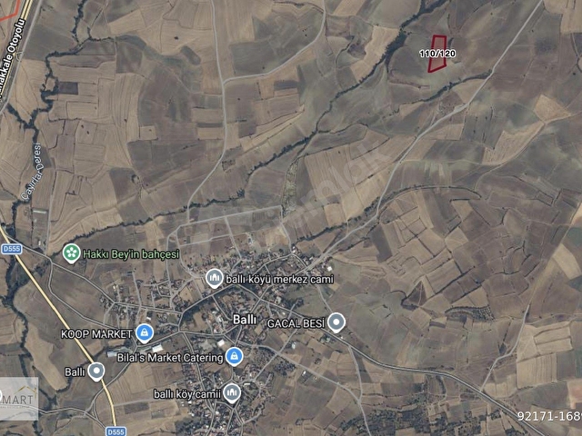 Tekirdağ Malkara Ballıda Tek Tapu 10 Dönüm Satılık Tarla