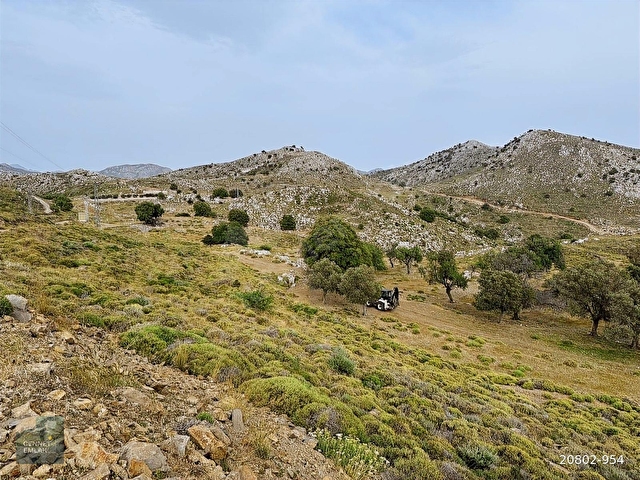BOZBURUN YASSI BALIK MEVKİİ FIRSAT ARSA - Görsel 3