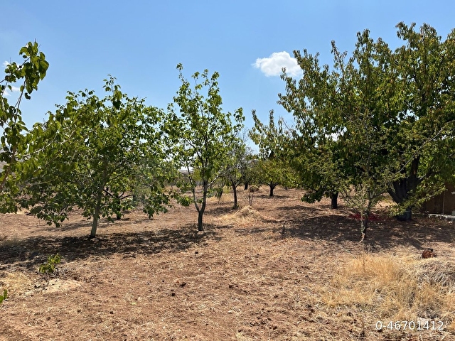 Satılık villa - Görsel 7