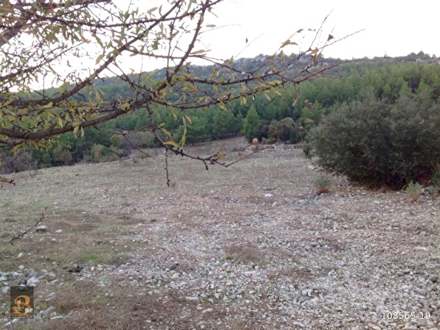 Antalya Kumluca Belen Adrasan Yolu Uzerinde Satilik Arazi 108565 19 Hurriyet Emlak