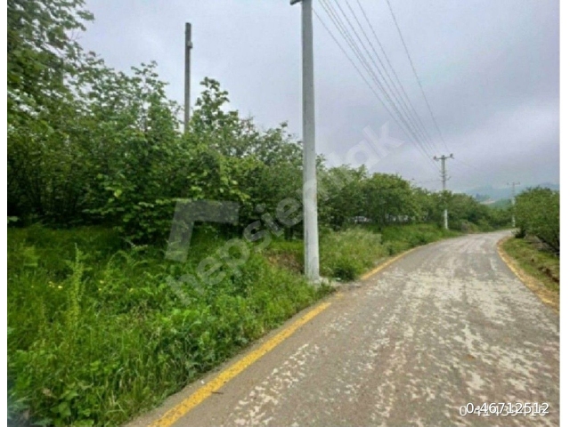 Asfalt yol kenarı Kirazlıda bahçe - Görsel 3