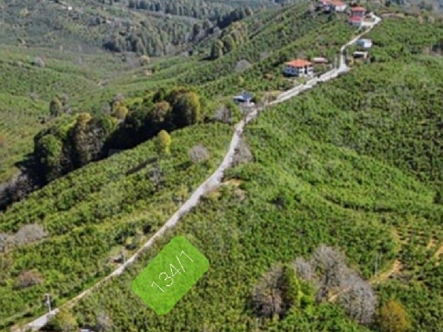 Asfalt yol kenarı Kirazlıda bahçe - Görsel 6