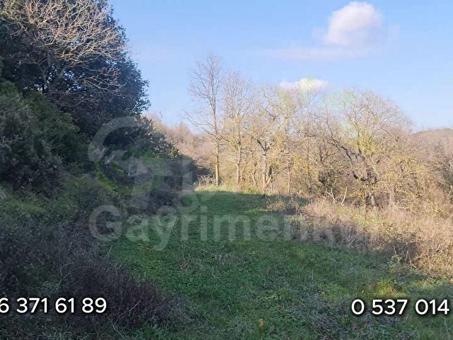 1.473 m² | KÖYE YAKIN | MANZARALI YATIRIMLIK DÜMDÜZ TARLA - Görsel 3
