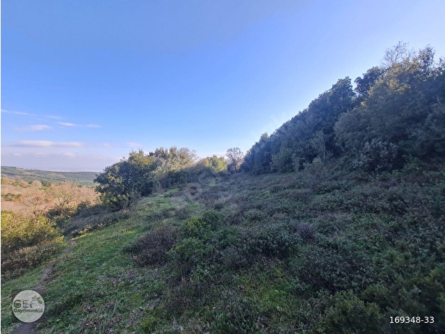 1.473 m² | KÖYE YAKIN | MANZARALI YATIRIMLIK DÜMDÜZ TARLA - Görsel 6