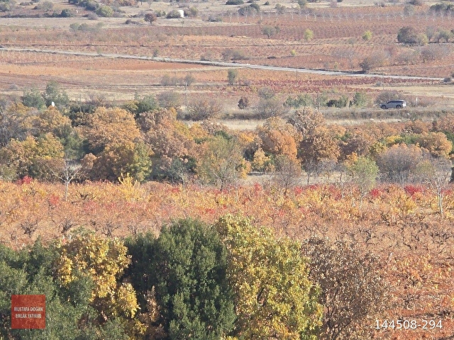 Denizli Bekilli Merkezde Resmi Yolu Var Toki Konutları İlçe Otoyol Yanı 4973 m2 Çok Uygun.Açıklamada - Görsel 25