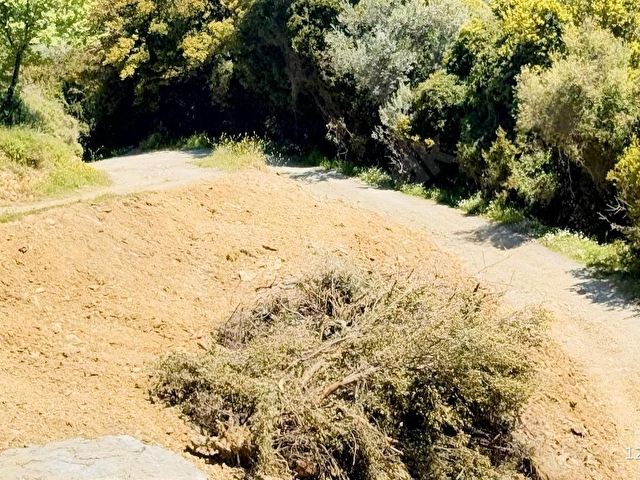 % 50 imarları 942 m2 Mükemmel yer - Görsel 6