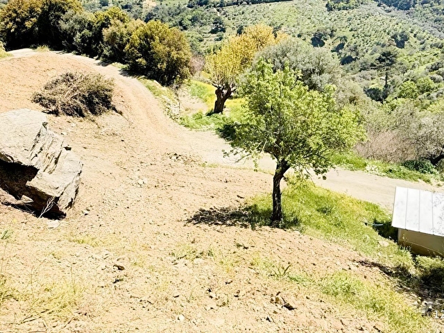 % 50 imarları 942 m2 Mükemmel yer