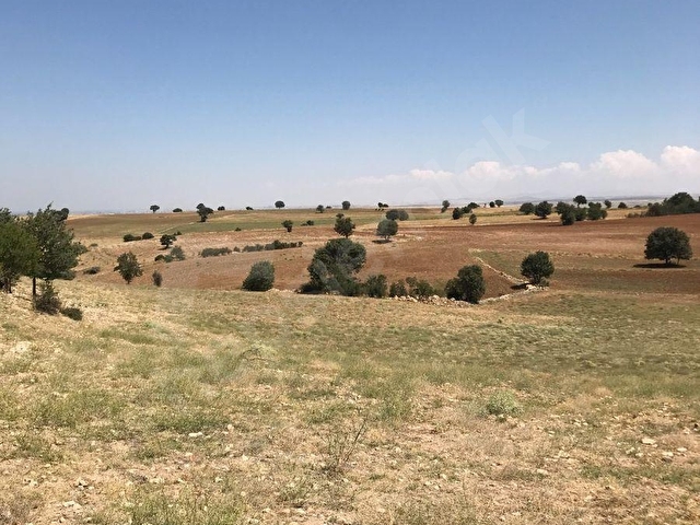 EMPAdan Pınarbaşı Özkes Barajı Yakını Satılık Tarla - Görsel 3