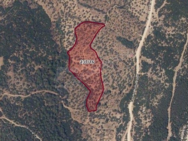 Ezine Tavaklı Satılık