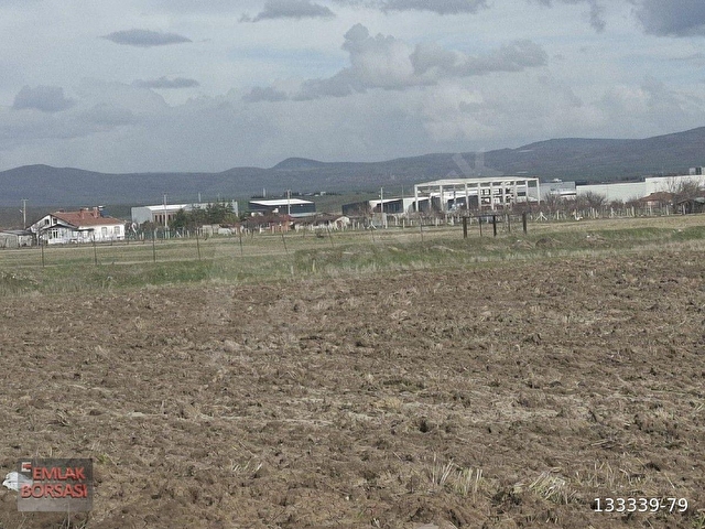 BEŞ BİNLİK İMARDA SANAYİ 7298 METRE TARLA - Görsel 3