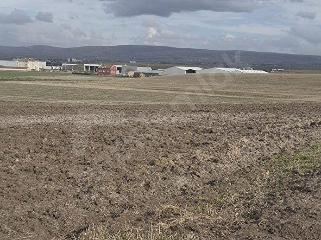 BEŞ BİNLİK İMARDA SANAYİ 7298 METRE TARLA - Görsel 11