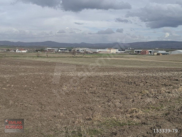 BEŞ BİNLİK İMARDA SANAYİ 7298 METRE TARLA - Görsel 12