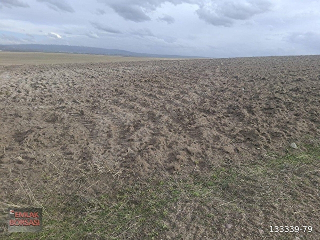BEŞ BİNLİK İMARDA SANAYİ 7298 METRE TARLA - Görsel 13