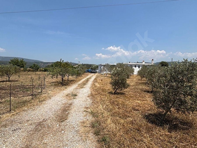 ULAŞ MAHALLESİNDE ÖREN YOLUNA YAKIN 4.750 m² SATILIK TARLA