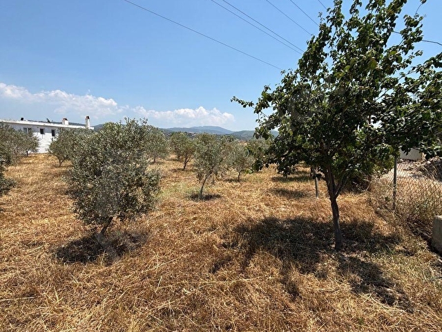 ULAŞ MAHALLESİNDE ÖREN YOLUNA YAKIN 4.750 m² SATILIK TARLA - Görsel 2