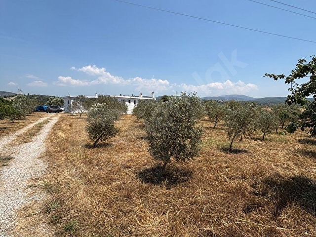 ULAŞ MAHALLESİNDE ÖREN YOLUNA YAKIN 4.750 m² SATILIK TARLA - Görsel 3