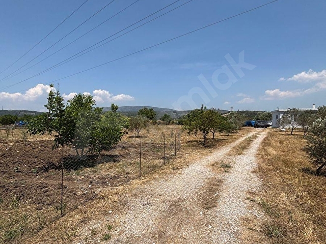ULAŞ MAHALLESİNDE ÖREN YOLUNA YAKIN 4.750 m² SATILIK TARLA - Görsel 4