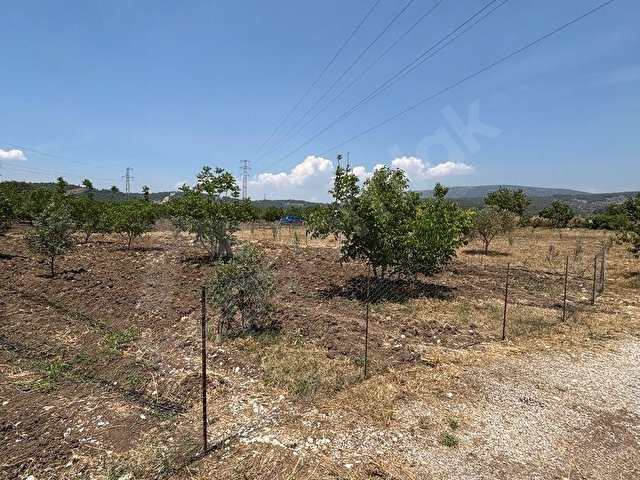 ULAŞ MAHALLESİNDE ÖREN YOLUNA YAKIN 4.750 m² SATILIK TARLA - Görsel 5