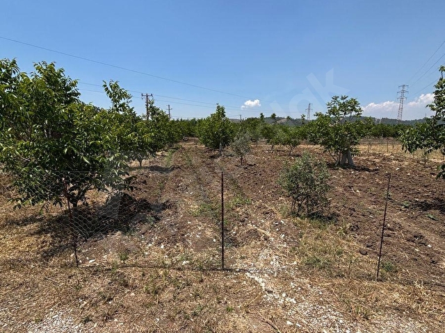 ULAŞ MAHALLESİNDE ÖREN YOLUNA YAKIN 4.750 m² SATILIK TARLA - Görsel 6